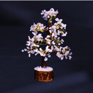 top numerologist in mumbai