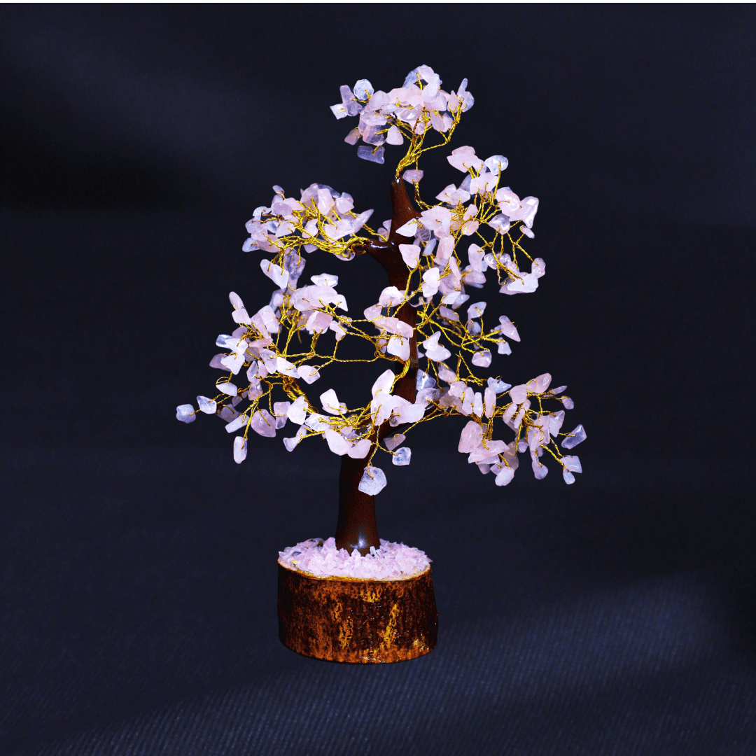 top numerologist in mumbai