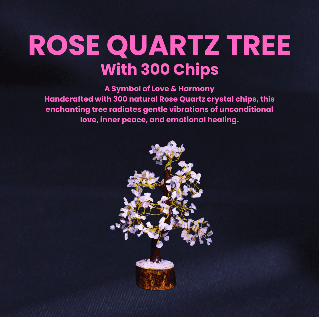 top numerologist in mumbai